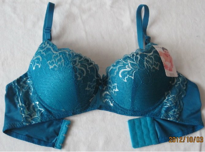 Lowest price of wholesale/Lady's BRA, cotton&silk/ Sexy brassiere