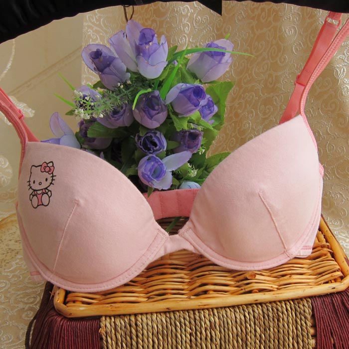 Lt h&m 100% cotton kitty belt insert underwear bra 70ab75ab80b