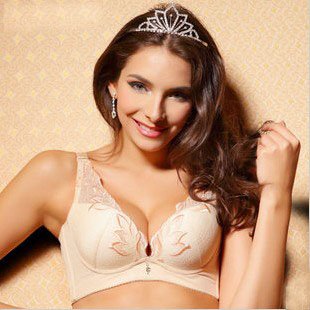 Luxurious and elegant bra, pull up your breast, conformtable cotton material, sexy color, Free shipping