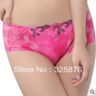 matching underwear lace glass yarn printing Modal magnetotherapy sexy low waist  sexy briefs panties underpants for women Br-119