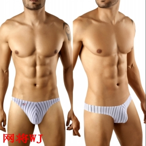 Net wj mens underwear sexy briefs transparent stripe breathable stripe swim trunks wj10015