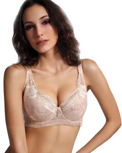 new 2013,   Free shipping,hot sale sets bra,sexy bra, women's bra ,C and D cup