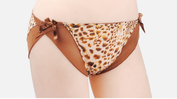 New arrivals!!! 10pcs  leopard  ladies women gauze/lace with two bows sexy Allure briefs panties wholesales