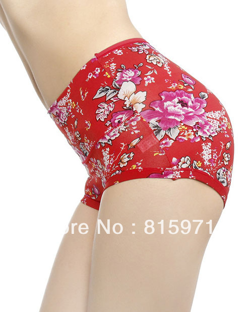 New design women brief chinese wind lady's panty sexy underwear lingerie N2045