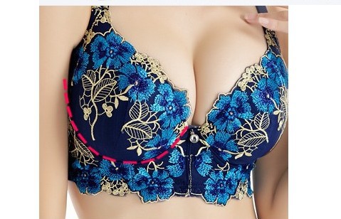 new gather together sexy adjustment embroidery brassiere