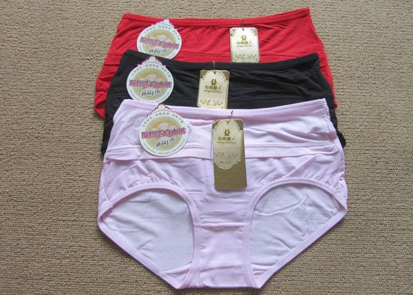 New wholesale!!! Free Shipping! Ladies' bamboo underpants with lace edge, 10pcs/bag