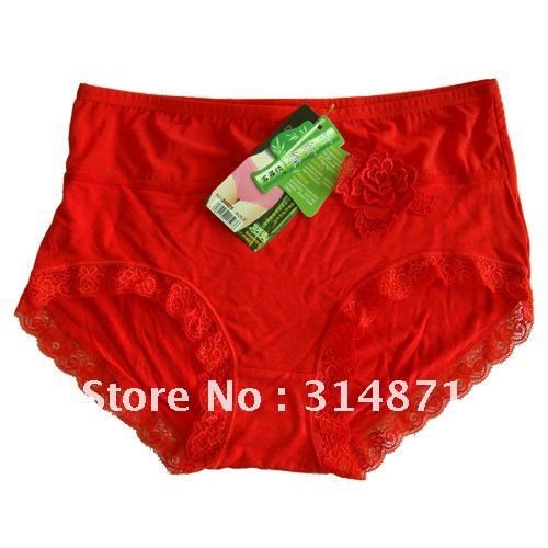 New wholesale!!! Free Shipping! Ladies' bamboo underpants with lace edge, 12pcs/lot