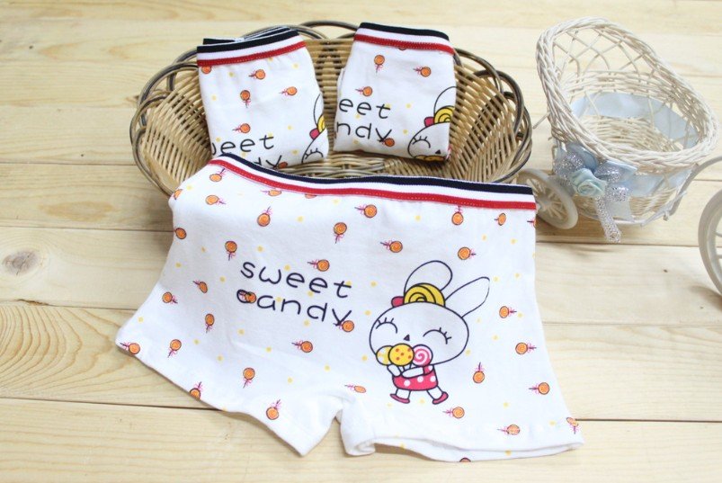 NK115,12 pcs/lot free shipping new style cartoon bunny children underwears 100% cotton girl panties baby shorts wholesale