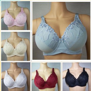 Plus Size Bra ( 127aYL21 ) /Size: B/ C / D / E / Brand Direct /Blossom Sexy Gather Push Up Bra + Guaranteed100% + Free Shipping