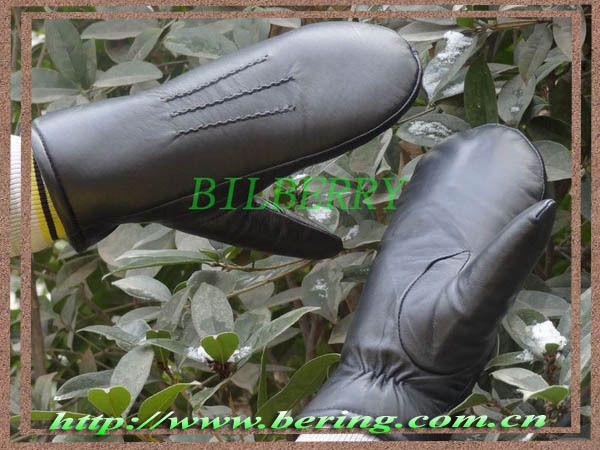 Promotion -- High Quality Warm Winter Genuine Leather Gloves for Ladies