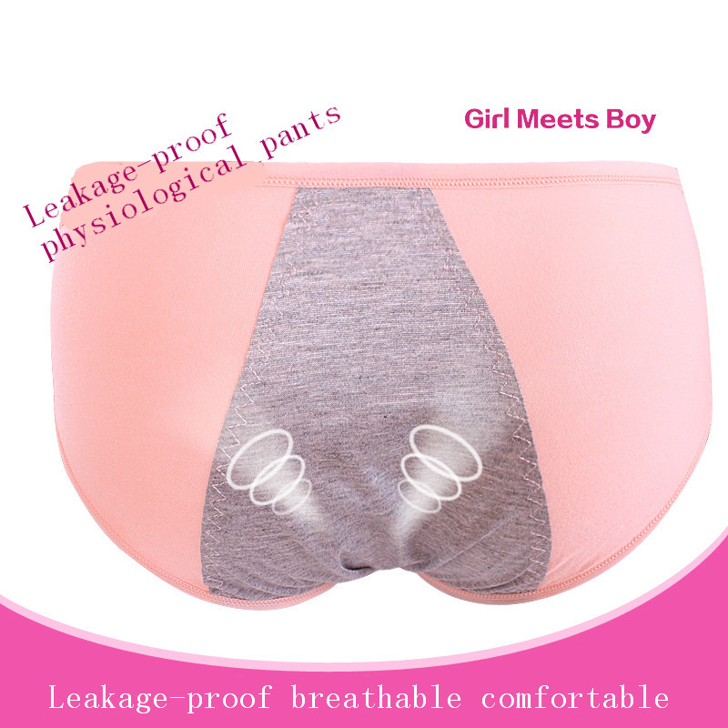 Promotion Physiological Briefs Pants Menstrual Leakproof Day and Night Seamless Underwear female 3color Free Shipping