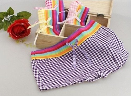 Rainbow waist small grid panty colorful free shipping A-014