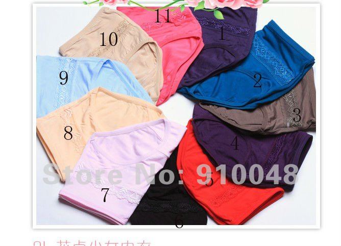 sexy  lace hollow out panties #K8819 for women/  12pcs /lot,  factory directly sell/ wholesale & retail / free shipping