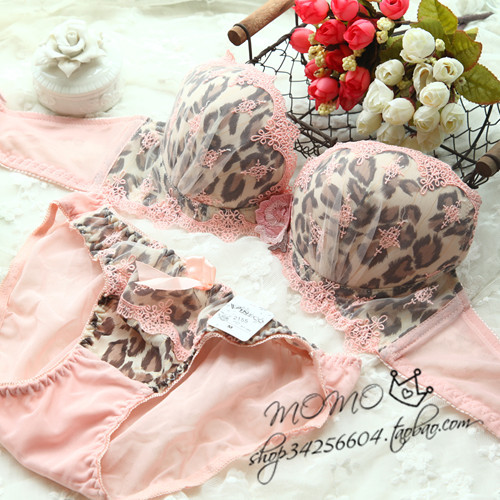 Sexy leopard print exquisite embroidered gauze 3 breasted push up bra set