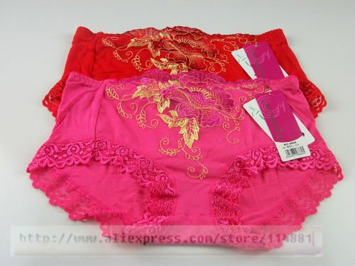 Sexy Lingerie Bamboo Fiber Lady Briefs Embroidery Women Panties XT8869 30pcs/Lot Free Shipping