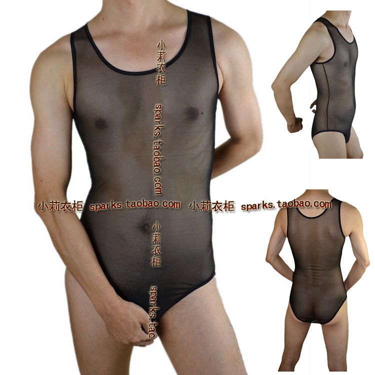 Sexy panties male underwear trigonometric gauze transparent men's lt118 bodysuit