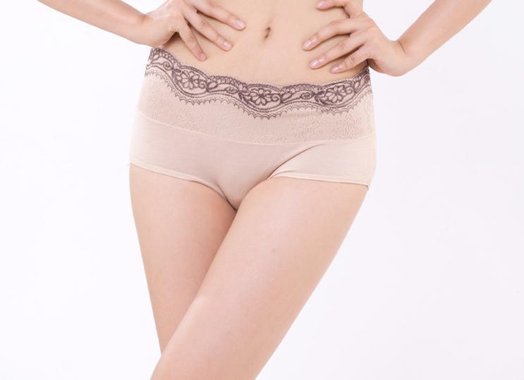 special offer wholesale underwear 5pcs/lot bamboo fiber women underwear lace gauze lady briefs Panties