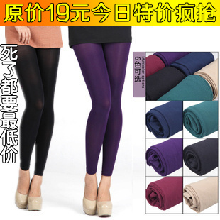 Spring and autumn multicolour legging female pencil pants socks thickening stockings pantyhose