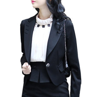 Spring professional women's 2013 all-match long-sleeve dress ol slim blazer coat female