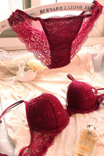 Underwear sexy fashion lace push up bra underwear set