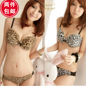 [View Sexy] Autumn and winter sexy leopard print plush coral fleece underwear shaggier deep V-neck push up bra set