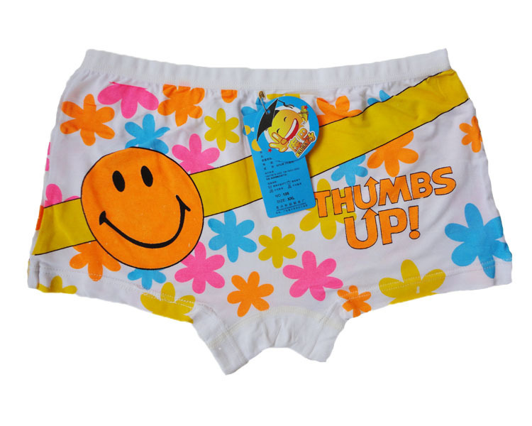 Wholesale 24pcs/lot Girls Briefs Cartoon Underwear Children Kids Panties Free Shipping