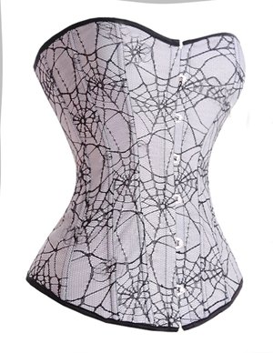 Wholesale and retail Gothic grey corset with spider web net overlay!