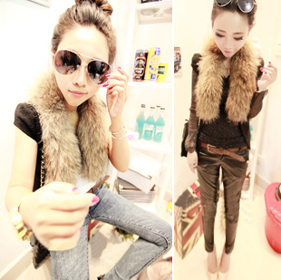 Women's 2012 fashion maomao collar short-sleeve slim vest c465 autumn