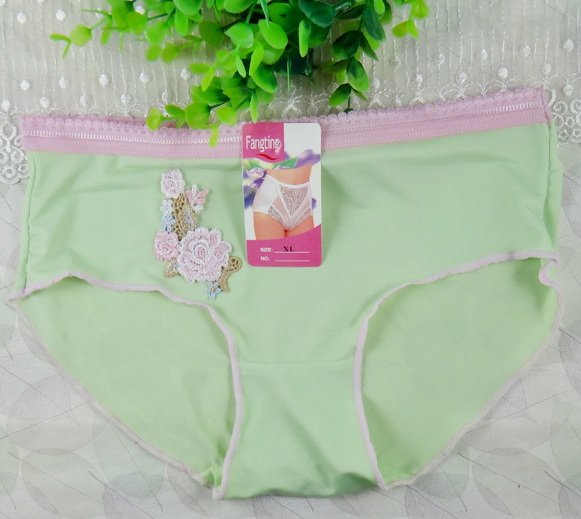 Women's sexy underwear Floral embroidery briefs multi-colors XL 5pcs/lot