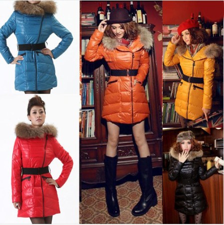 Womens Winter Warm Hooded Duck Down Long Sleeve Jacket Popular Coat Parka